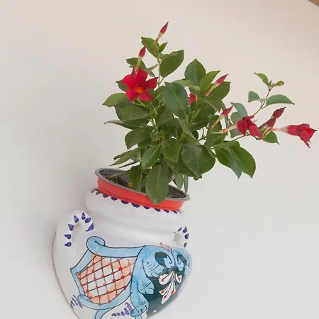 Casa Valerio וילה *