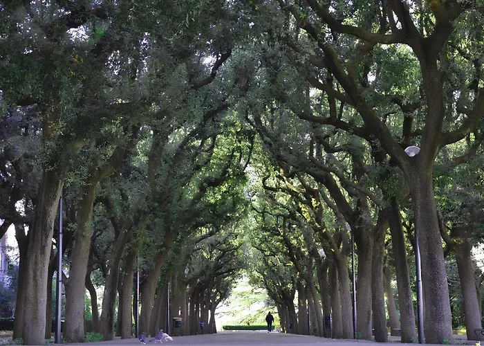 Casa Valerio Villa Conversano