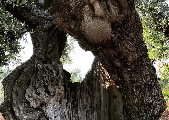 Casa Valerio * Conversano